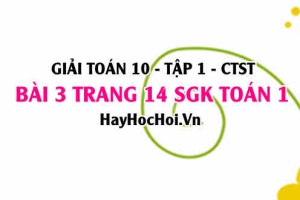 Giải bài 3 trang 14 Toán 10 tập 1 SGK Chân trời sáng tạo